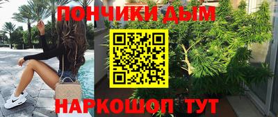 шишки Пугачёв