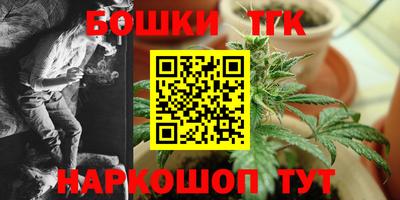 шишки Пугачёв